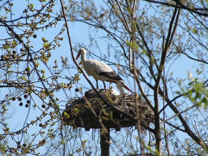 Taccuino con penna e luce laterale