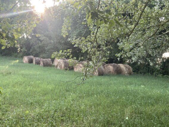 Stanza sobria con scrivania e luce di finestra
