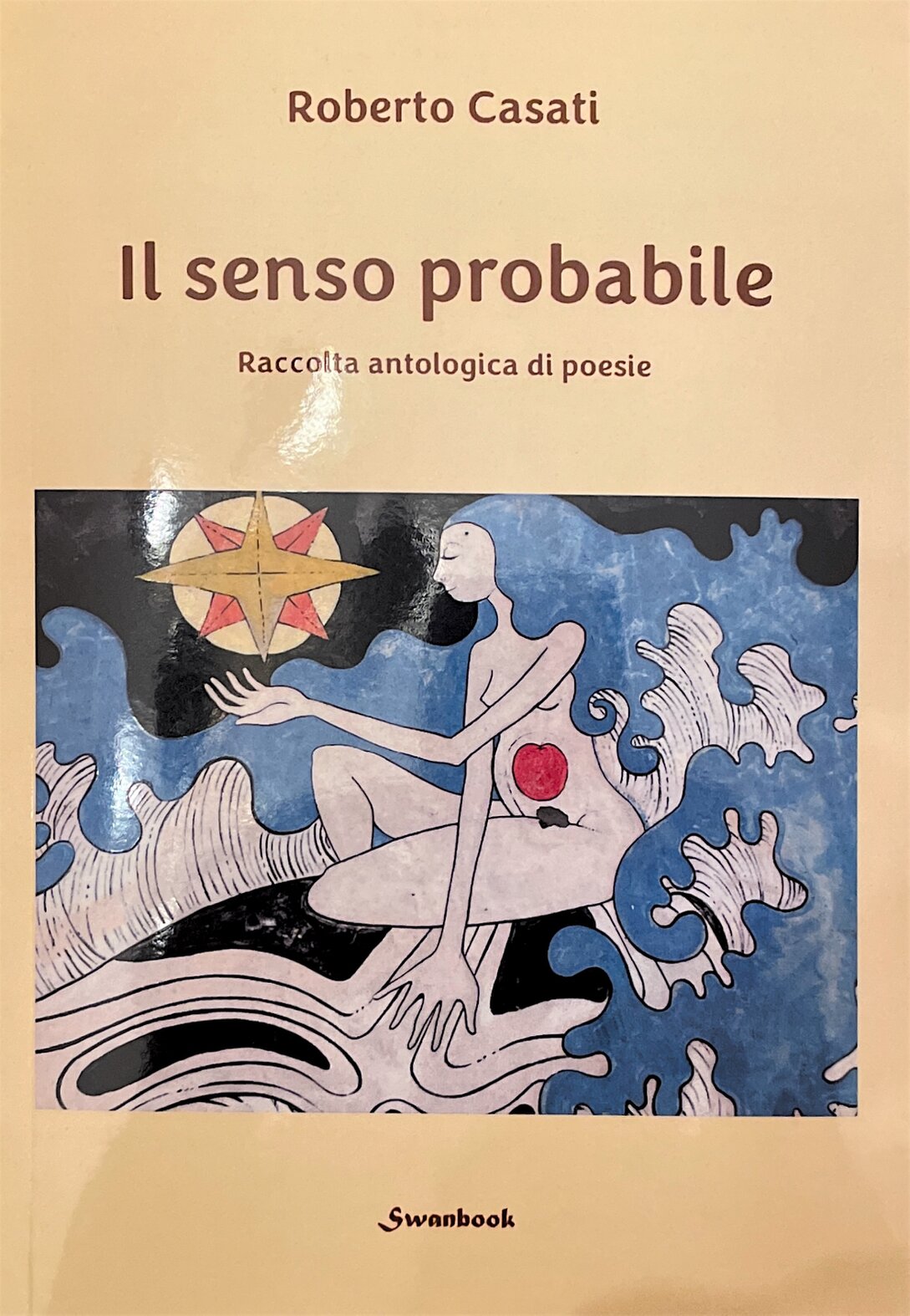 Bussola su carta nautica